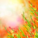 우리 늘 이미지