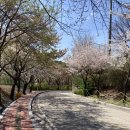 고덕체육공원 축구장 이미지