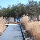 조령분교 이미지