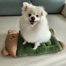 멍!구름 | 강아지용가리 추억의간식 하림용가리멍치킨 조구름씨가 먹어본 내돈내산 후기