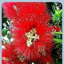 반포삼정공인중개사사무소 이미지