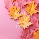 안양동물병원 이미지