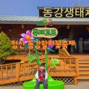 동강할미꽃마을 | 강원도 정선 아이랑 가볼만한곳 동강할미꽃축제 방문 후기