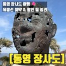 동백카 부분정비 | 동백꽃명소 통영 장사도 4월 방문 솔직 후기 장사도배편 가격 갈매기 새우깡