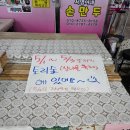 천막천 1무명교 | 2026년 제8회 홍천산나물축제 일정 주차 셔틀버스 먹거리 후기