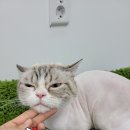 몽이슈(mong issue) 이미지