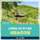 유성구세동보건진료소 | 대전 유성구 갈만한 곳, 산책하며 사진 찍기 좋은 '세동농촌마을'