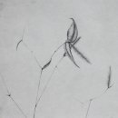 로쿠(<b>roku</b>) - Tabacco