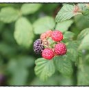 태헌농장 이미지