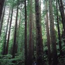 문성목장 이미지