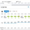 RE:7월22일(월) 관악산 계곡 트레킹여행(꽃비대장님) 이미지