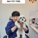 사랑해요동물병원 네이버블로그
