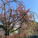 [디지털융합] [AI ＆ Bigdata] AI가 알려주는 비즈니스 전략 | 'AI에게는 없고 인간만이 가진 것' 자기위안 서사를 넘어 연결자의 역할 찾기