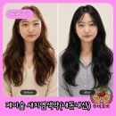 [공지] 미용실에서도 안받아주는 머리 제이숲 새치염색약으로 셀프염색 후기
