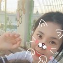 고성여자중학교 이미지