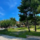 펫엘도라도 | [여행기록] 신안 증도 ' 엘도라도 리조트 '