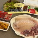 마산-중앙-중앙센터-01 | 속초회포장 중앙시장 진미활어센터 관광수산시장 먹거리 찐맛집
