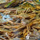 밥도둑 - 구로구 디지털로33길 48 | 밥도둑