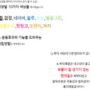 패션크루