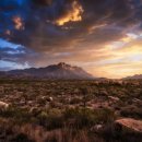 율지8로 이미지