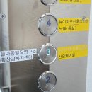 뉴 비너스 | 태릉 뉴이자르 산후조리원 산전 마사지 후기