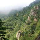공룡발톱 - 문경시 상신로 7 | 공룡발톱