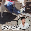 팅커벨 - 진주시 모덕로270번길 5 | 팅커벨