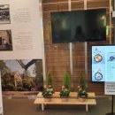 자연솜씨 이대서울병원 이미지