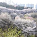 숲속쉼터 이미지