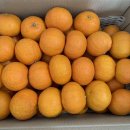 진홍농장 이미지