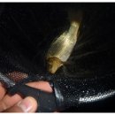 은성낚시공원 이미지