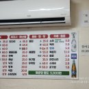 청정산오징어