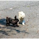 김포다도박물관 이미지