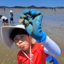 꿈꾸는달님도자기핸드페인팅 | 7월 무창포 안면도리솜 진산리어촌계 꿈꾸는달님도자기 여행