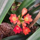 농업기술센터 농업기술과 화장실 | [충남 홍성] 겨울에도 예쁜 꽃과 식물들을 볼 수 있는 홍성군 농업기술센터 '들빛'