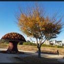 국화축제장 입구 이미지