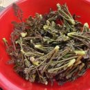 통영의봄민박 이미지