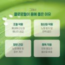 그린시너지 이미지