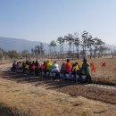 황산공원 미니기차 이미지