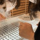 오렌즈 수유점 이미지