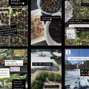 승리농장 | [KSEEDZ] 2025년 농사 후기와 휴가안내