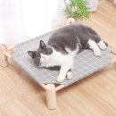 둥지애견 이미지