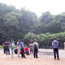 과천-과천-과천11호 Daum카페