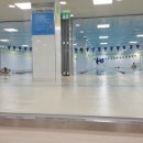 YS 스윔키즈 이미지