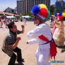 얼씨구