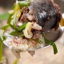 정다운순대국밥 이미지