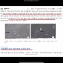 유니시티메가월드 - 평택시 조개터로6번길 31-3 | 유니시티메가월드