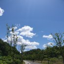 약골자전거도로 이미지