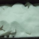 나주농장 이미지