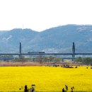 새(금호) 이미지